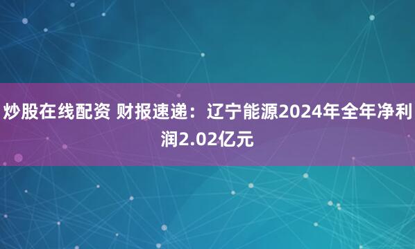 炒股在线配资 财报速递：辽宁能源2024年全年净利润2.02亿元