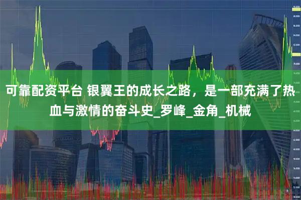 可靠配资平台 银翼王的成长之路，是一部充满了热血与激情的奋斗史_罗峰_金角_机械